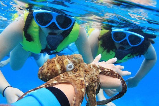 Ko Olina Catamaran Sail and Snorkel with Lunch - Why this Ko Olina catamaran trip works so well