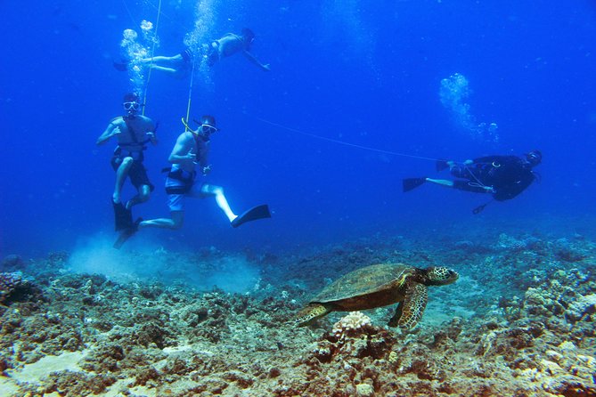 Ko Olina Catamaran Sail and Snorkel with Lunch - Lunch, cocktails, and the return sail