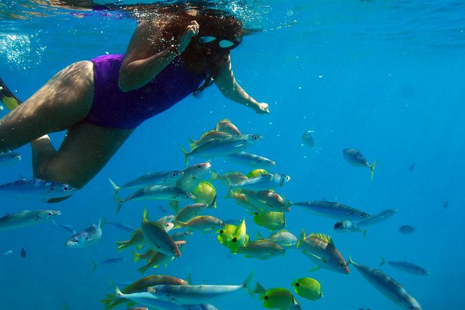 Ko Olina Catamaran Sail and Snorkel with Lunch - Is $195 a fair price?