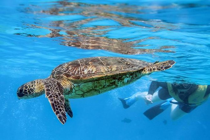 Ko Olina Catamaran Sail and Snorkel with Lunch - A few practical details that matter