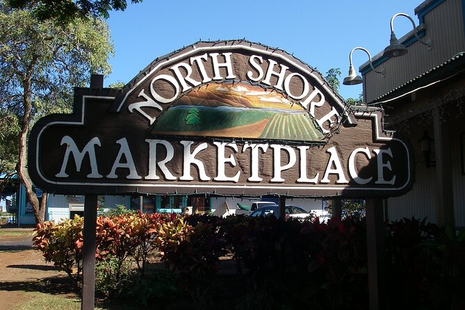 Ko Olina to North Shore Experience -Waimea Falls, Beaches & more - Shark’s Cove for snorkeling