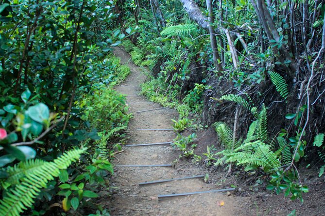 Kualoa Ranch: Jungle Expedition Tour - Why the guide matters so much