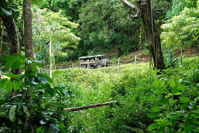 Kualoa Ranch: Jungle Expedition Tour - Jungle trails, cattle country, and movie scenery