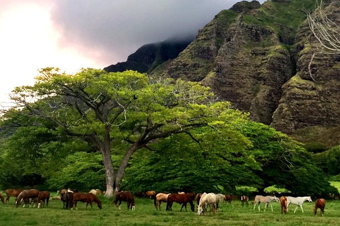 Kualoa Ranch: Novice E-Bike - Through Kualoa and Kaaawa valleys