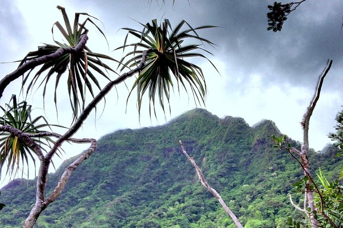 Kualoa Ranch: Novice E-Bike - Is the novice route really beginner-friendly?