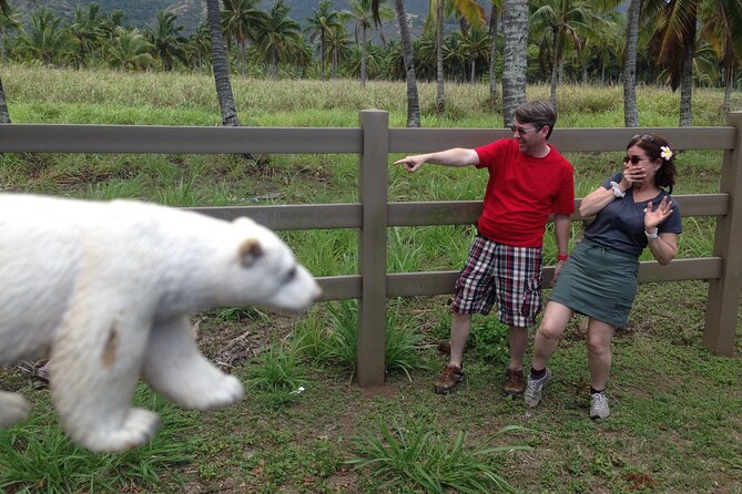 'Lost' and Movie Tour - Beyond Lost: movie locations and island stories