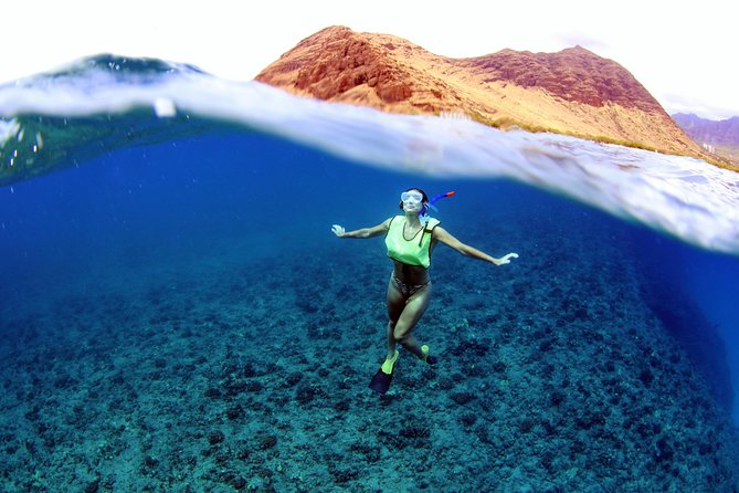Luxury Snorkel Cruise, Local Buffet with Whale & Dolphin Watch - Wildlife watching along Oahu’s coast
