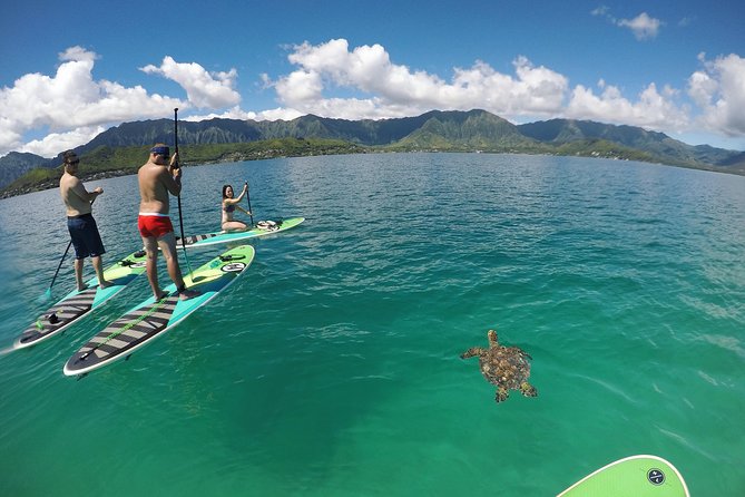 Mahina Hawaii Full Day Adventure - Kayaking and snorkeling around Oahu