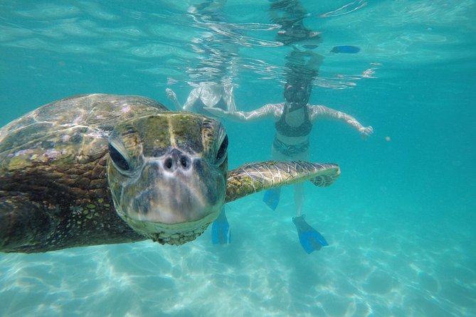 Mahina Hawaii Full Day Adventure - Waterfalls, caves, and cliff-side adventure