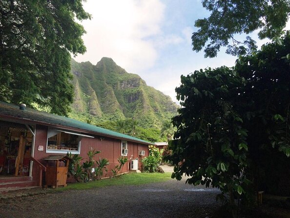 Majestic Circle Island Tour with Lunch - Nuʻuanu Pali gives you history with the view