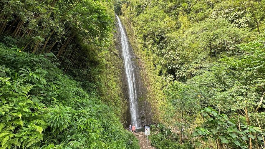 Manoa Falls eBike to Hike - Walking the rainforest trail to Manoa Falls