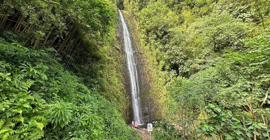 Manoa Falls eBike to Hike - Who will get the most from this tour