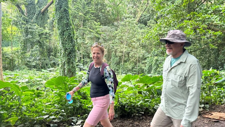 Manoa Falls eBike to Hike - Is $169 a fair price?