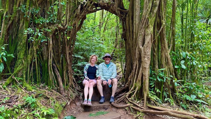 Manoa Falls eBike to Hike - The 390-foot climb into changing weather