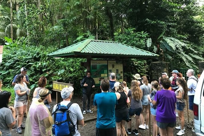 Manoa Falls Rainforest & Self-Guided Hike - What the Manoa Falls outing really offers