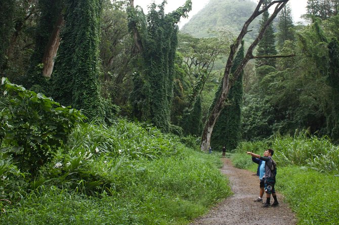 Manoa Falls Rainforest & Self-Guided Hike - The final climb to the 150-foot falls