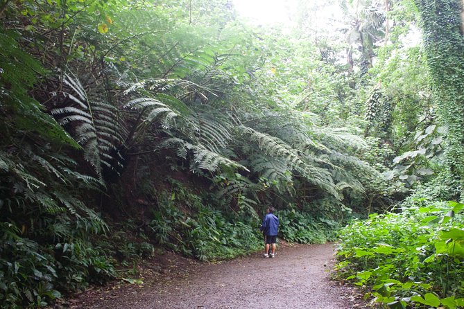 Manoa Falls Rainforest & Self-Guided Hike - What is included, and what is not