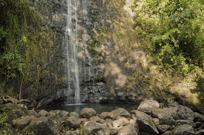 Manoa Waterfall Hike with Waikiki Pickup & Healthy Lunch - Key points at a glance