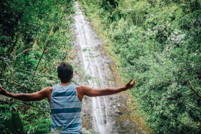 Manoa Waterfall Hike with Waikiki Pickup & Healthy Lunch