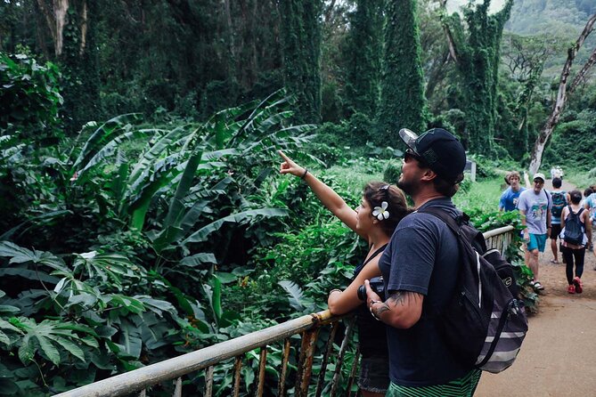 Manoa Waterfall Hike with Waikiki Pickup & Healthy Lunch - Practical preparation for a safer walk