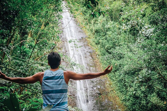 Manoa Waterfall Hike with Waikiki Pickup & Healthy Lunch - Reaching the base of Manoa Falls