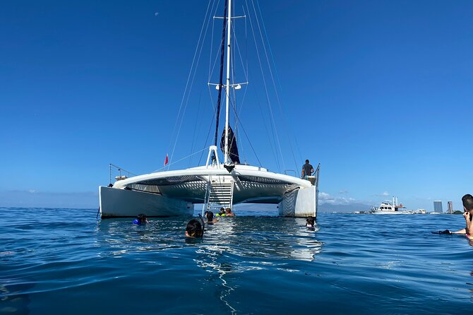 Moana’s Swim’n’Sail Cocktail Cruise Along the Waikiki Coast - Swimming from the boat off Waikiki