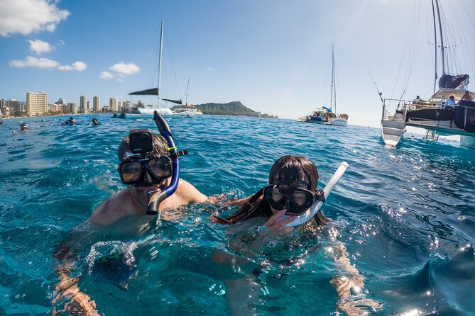 Moana’s Waikīkī Grand Guided Turtle Snorkel & Sailing Adventure - Why the crew makes a difference for families