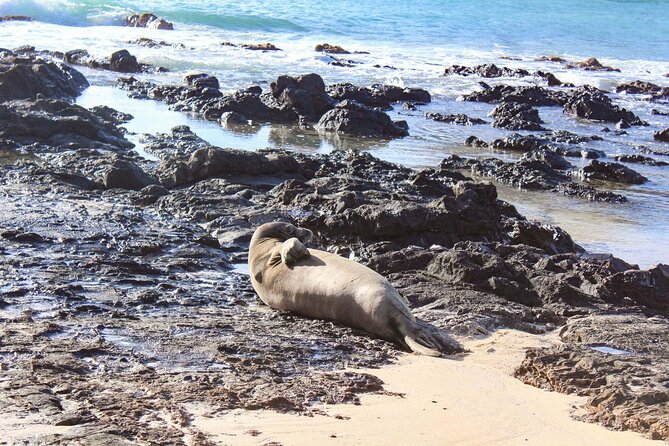 Mokulua Islands Self-Guided Kayak Adventure - Queen’s Bath and the best swim of the day