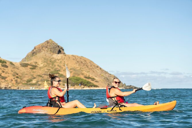 Mokulua Islands Self-Guided Kayak Adventure - Wildlife watching from the kayak