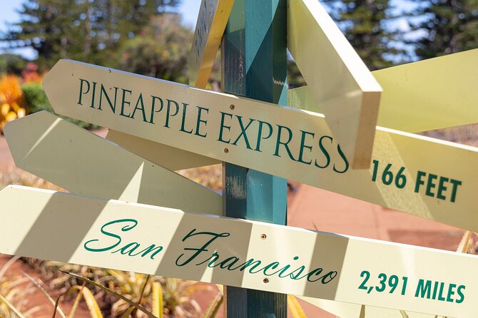 North Shore Haleiwa & Dole Plantation Tour - What the $100 price really includes
