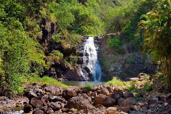 North Shore / Waimea, Falls Day & Swim with Turtles - Key points at a glance