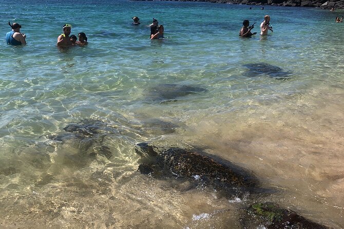 North Shore / Waimea, Falls Day & Swim with Turtles - Seamus, Sandy, and the personal pace