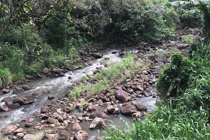 North Shore / Waimea, Falls Day & Swim with Turtles - What $150 per person really buys
