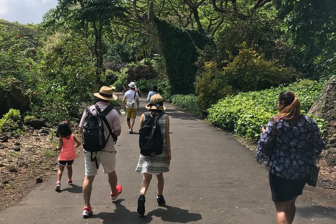 North Shore / Waimea, Falls Day & Swim with Turtles - From Honolulu to Haleiwa and the coffee stop