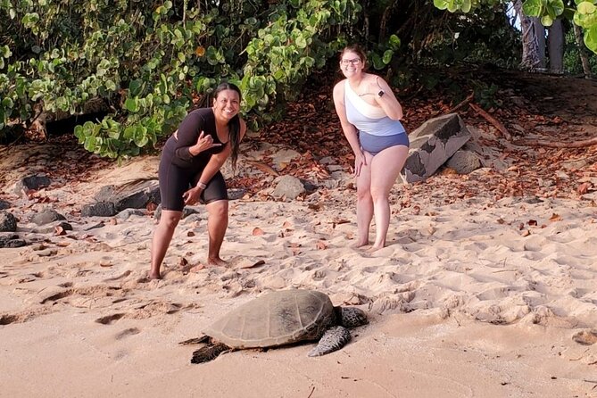 Northshore ocean adventure and circle islandJeep Tour- Guaranteed to see turtles - Sunset Beach shows Oahu’s surf side