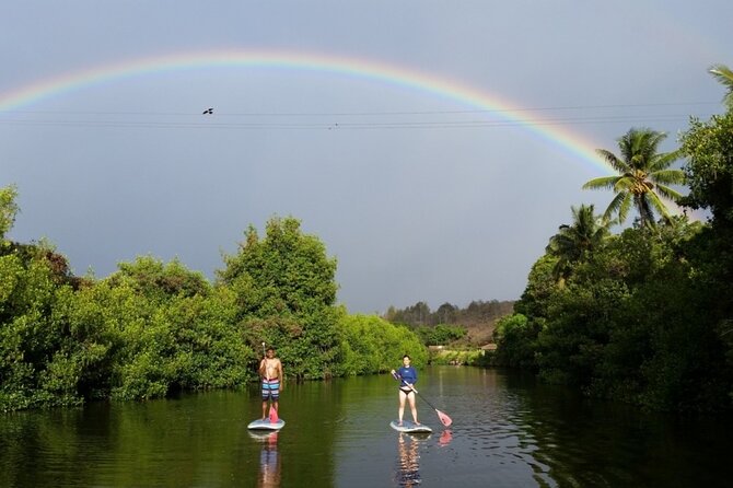 Northshore ocean adventure and circle islandJeep Tour- Guaranteed to see turtles - Nuʻuanu Pali gives you the big island view