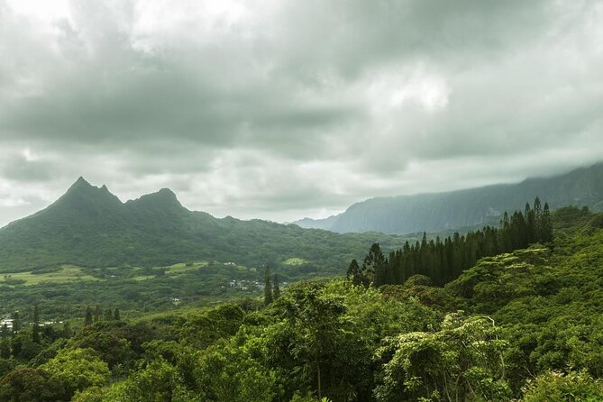 O‘ahu Highlights Private Guided Tour: Landmarks & Architecture - Key points to know before booking