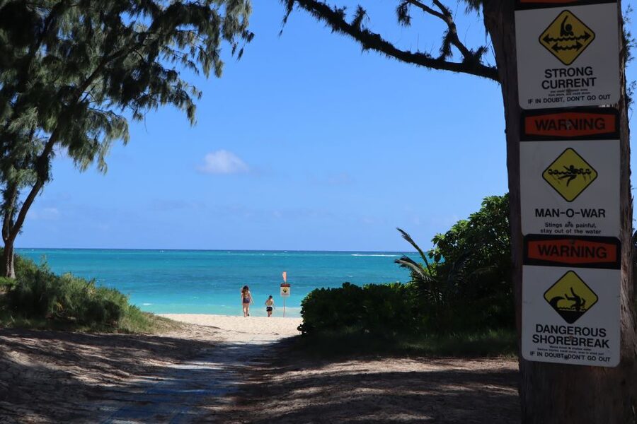 Oahu: Active Circle Island Tour - The optional Manoa Waterfall hike