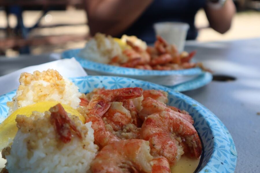 Oahu: Active Circle Island Tour - Pali Lookout and the island’s changing views