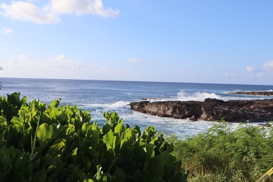 Oahu: Active Circle Island Tour - Macadamia nuts and China Man’s Hat