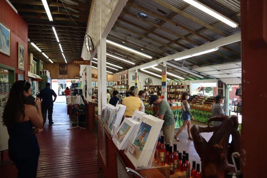 Oahu: Active Circle Island Tour - A quieter pause at Turtle Beach