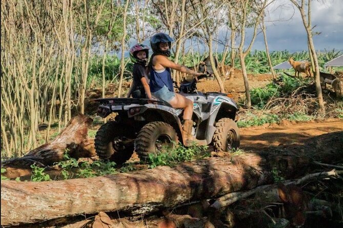 Oahu Beachfront ATV Adventure and Farm Tour - Kapukapuakea, Taputapuatea, and Polynesian connections
