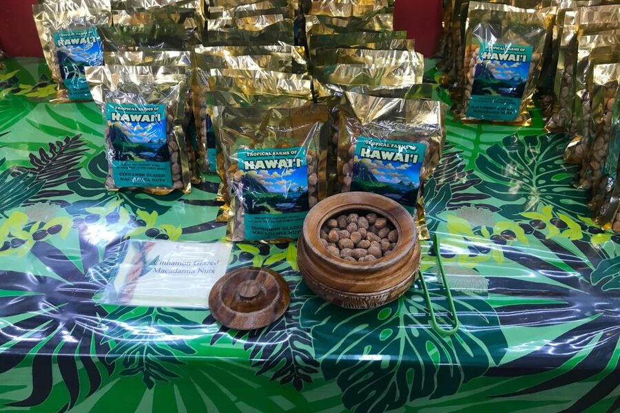 Oahu: Beauty and the Feast Circle Island Experience - What kind of Oahu day is this?