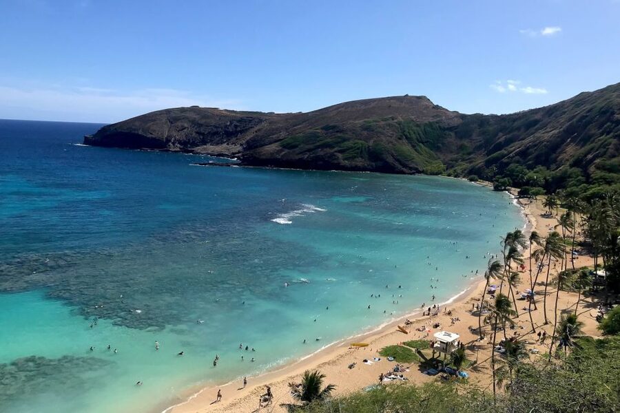 Oahu: Beauty and the Feast Circle Island Experience - Lookouts, macadamia nuts, and island snacks