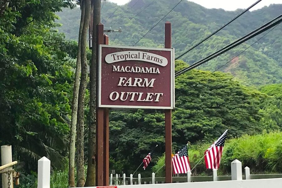 Oahu: Beauty and the Feast Circle Island Experience - Dole Plantation and the final pineapple stop