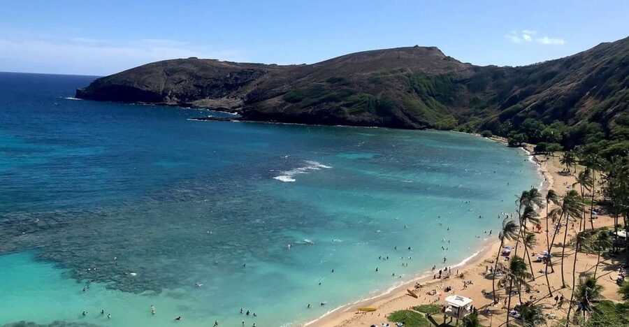 Oahu: Beauty and the Feast Circle Island Experience - Malasadas and the Halona Blowhole