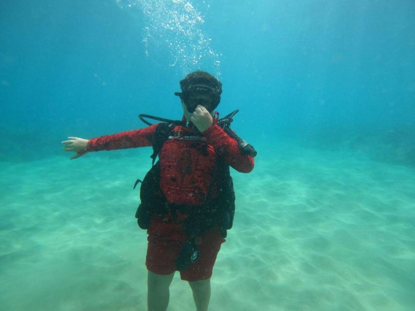 Oahu: Beginner SCUBA Dive at Electric Beach - Useful planning tips for your Oahu day