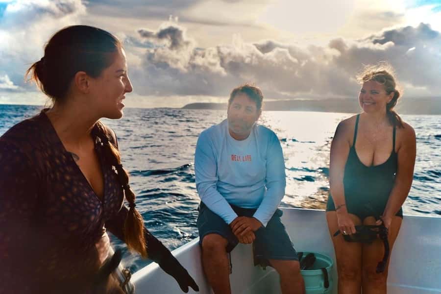 Oahu: Cageless Shark Dive Adventure - Key points to know before you book