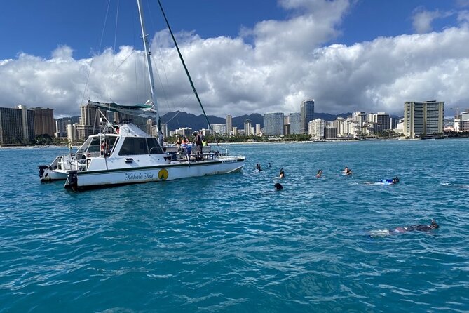 Oahu Catamaran Snorkel Tour: See Turtles 100% Guaranteed - Turtle Canyon, Waikiki’s reliable snorkeling stop