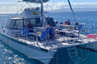 Oahu Catamaran Snorkel Tour: See Turtles 100% Guaranteed